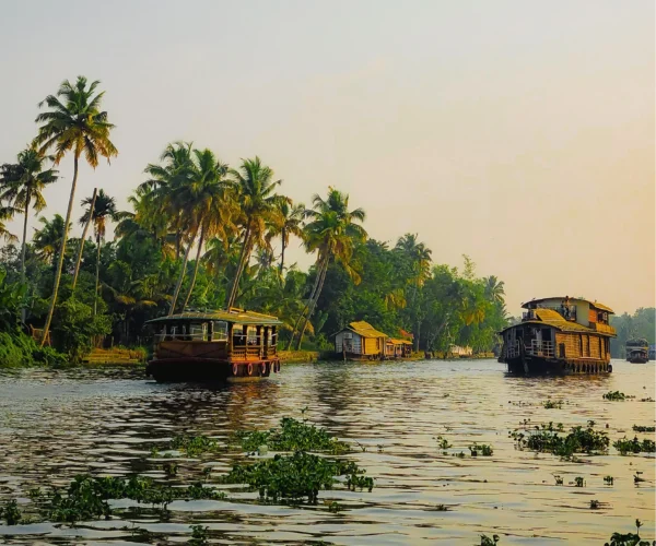 Dental Tourism in Kerala:A Complete Guide
