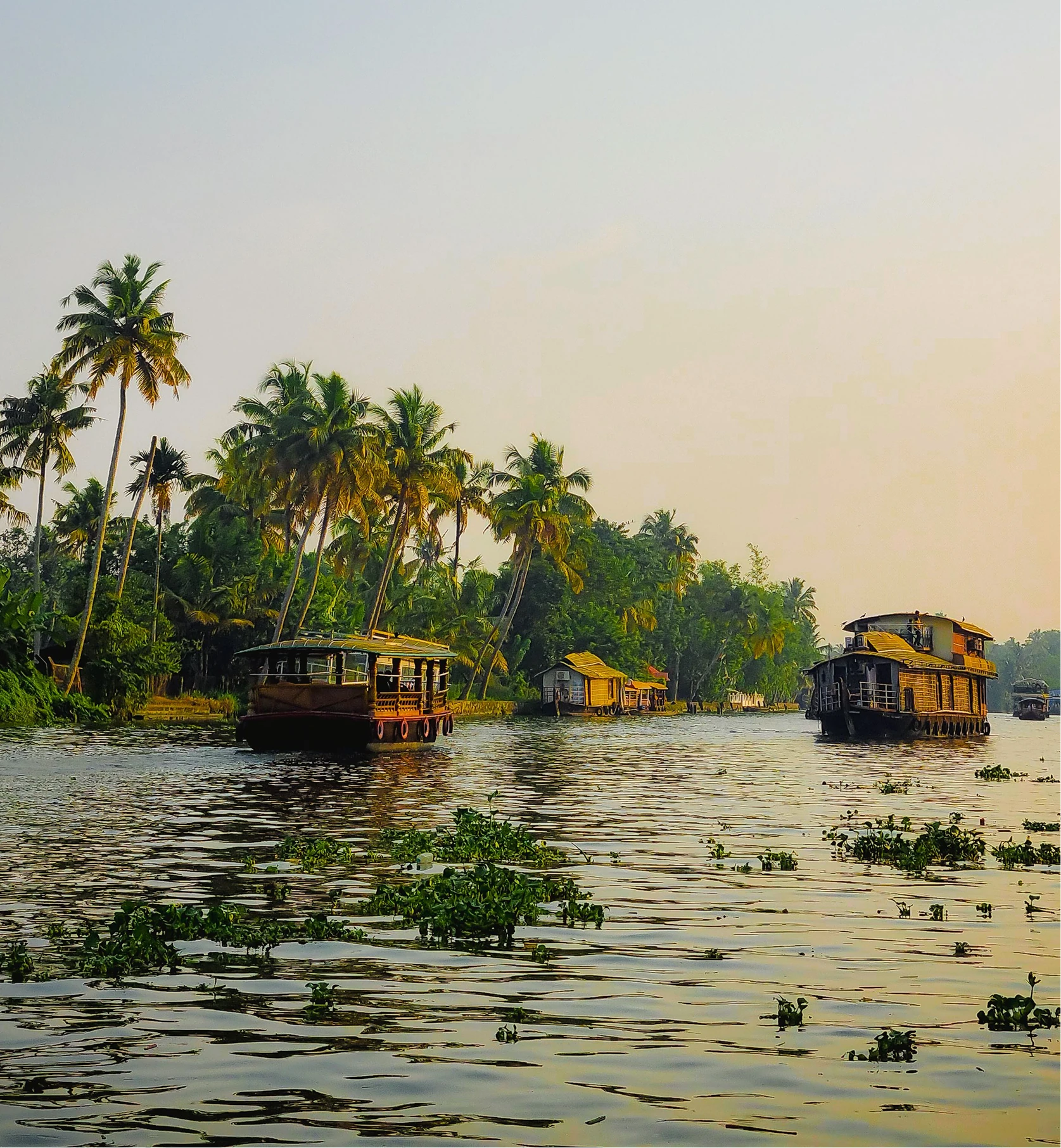 Dental Tourism in Kerala:A Complete Guide