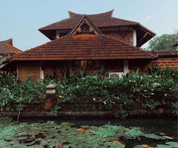 Ayurveda in Kerala:What to Expect