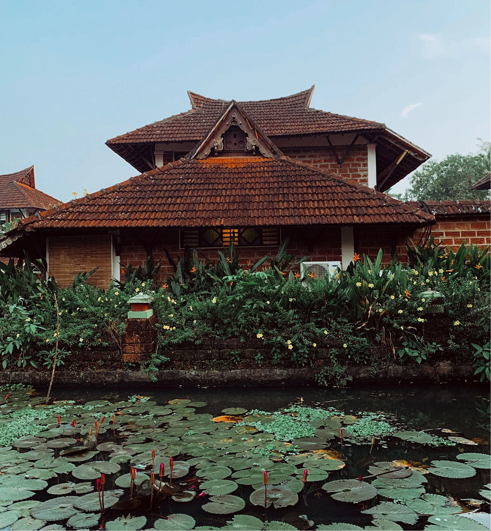 Ayurveda in Kerala:What to Expect