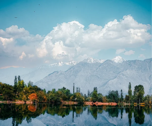 Kashmir